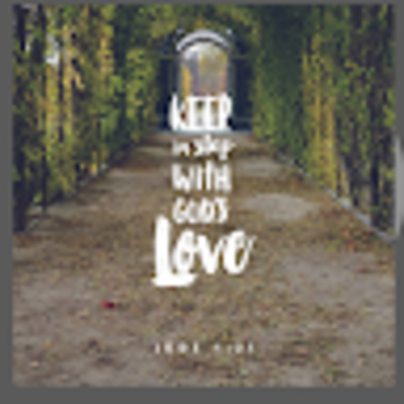 Meet your Posher, Jude - Picture 1 of 1